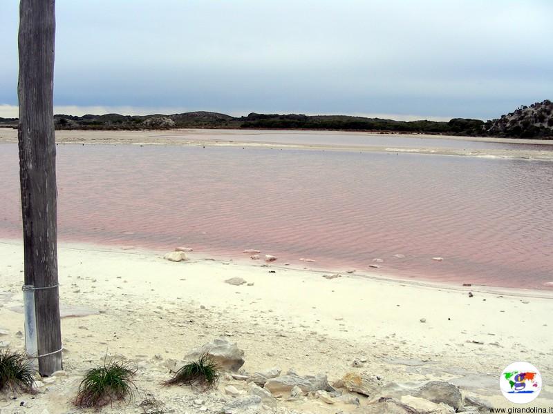 Pink Lake - Australia