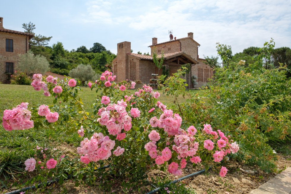 Il nostro primo viaggio in gravidanza presso Il Resort Borgo Giorgione ( photo credits Borgo Giorgione)