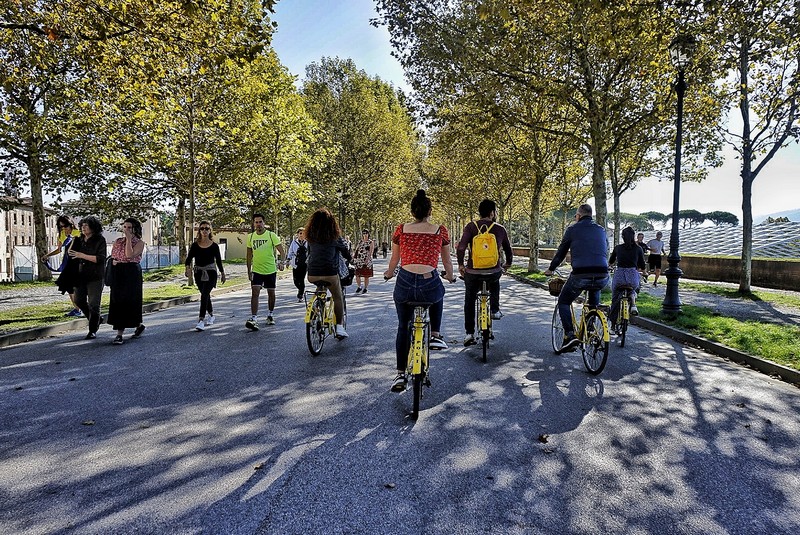 Le attività da fare a Lucca, andare in bicicletta sulle Mura 