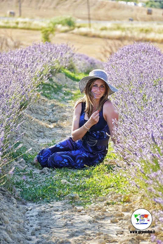 Itinerario lavanda in Toscana, Pieve Santa Luce