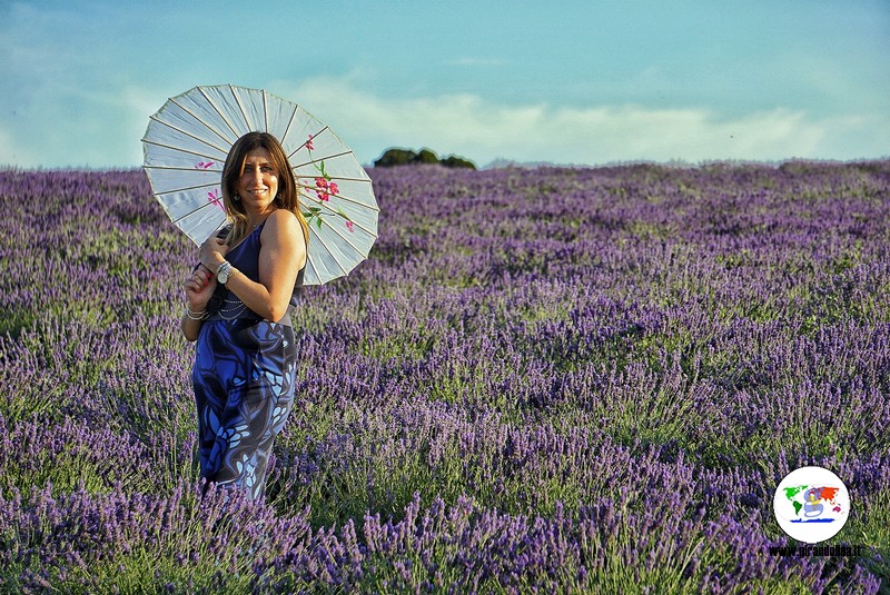 Itinerario lavanda in Toscana, Pieve Santa Luce