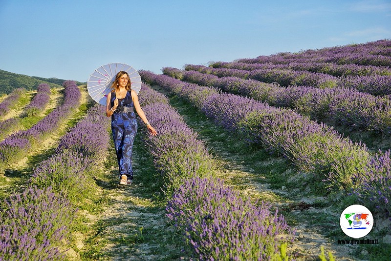 Itinerario lavanda in Toscana, Pieve Santa Luce