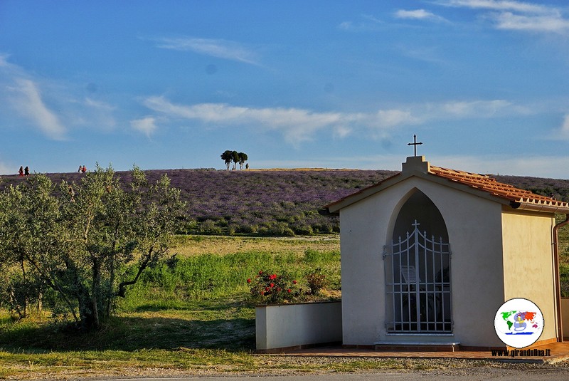 Itinerario lavanda in Toscana, Pieve Santa Luce, Agriturismo Mandriato