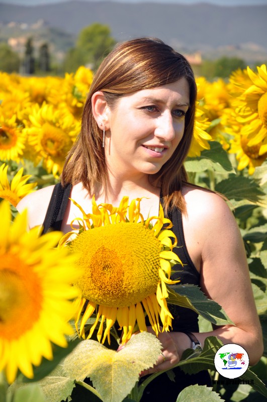 Campi di girasoli in Toscana