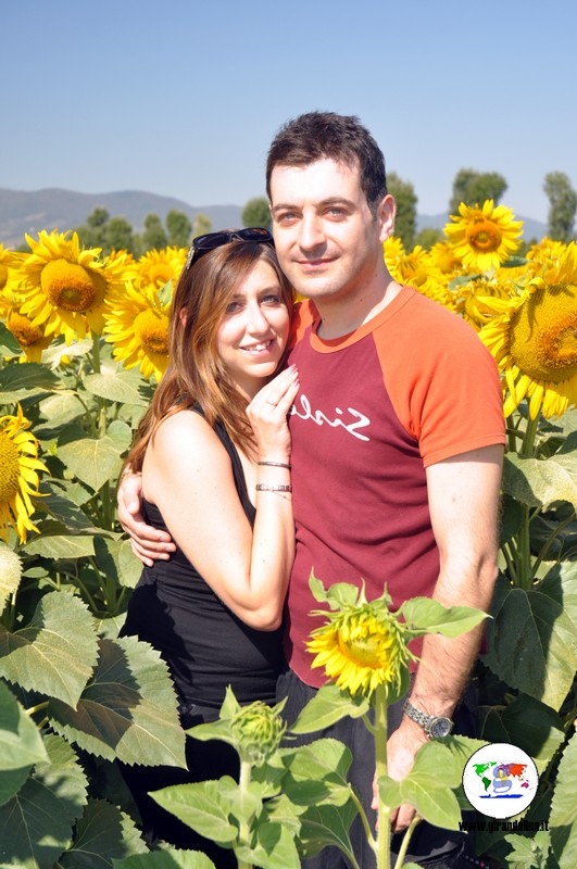 Campi di girasoli in Toscana