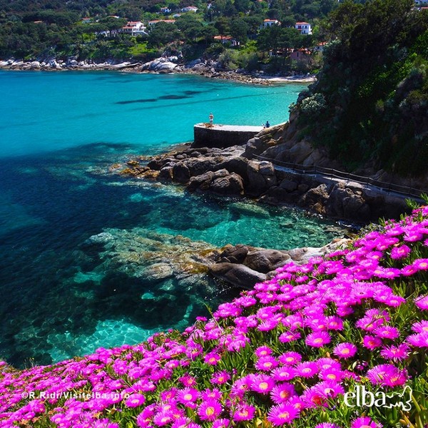 Isola d' Elba ( ph credits  r.ridi /Visit Elba .info )