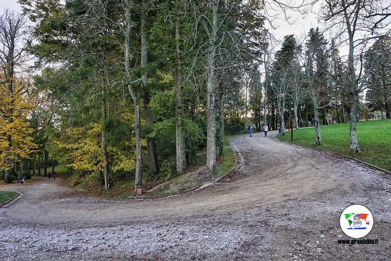 Parco Mediceo di Pratolino, il bosco