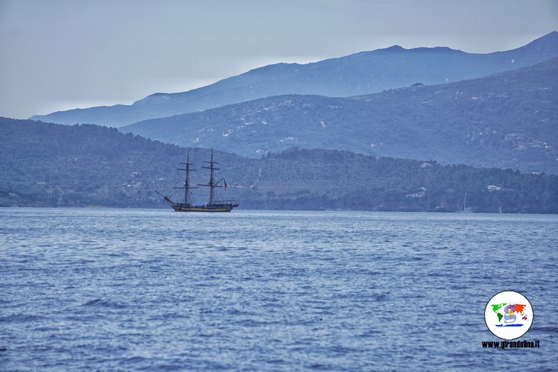 Immersioni Isola d'Elba 