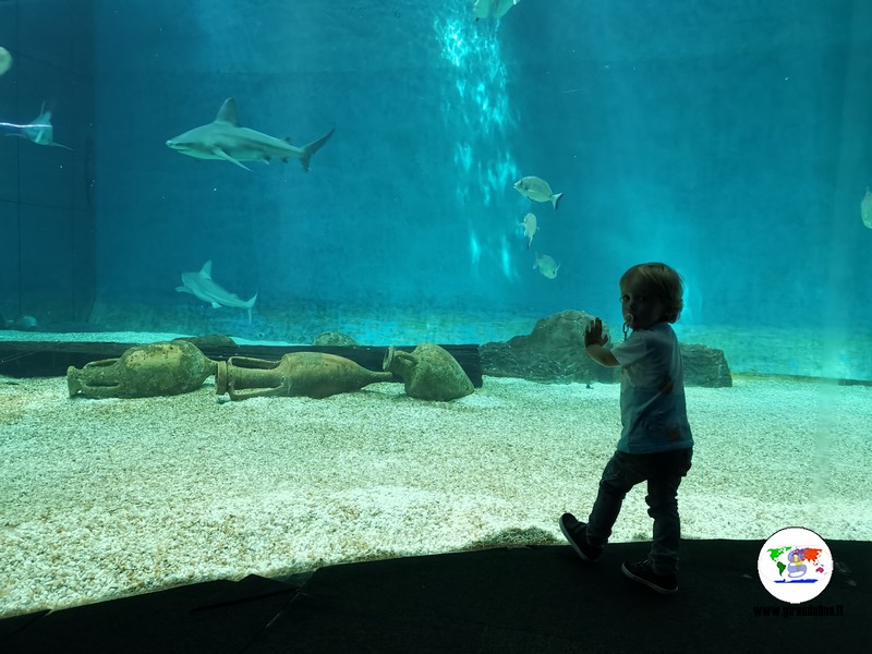 L'Acquario di Genova in un video