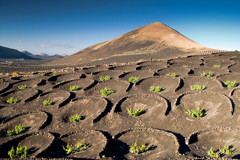 Pasqua alle  Isole Canarie, la  Geria 