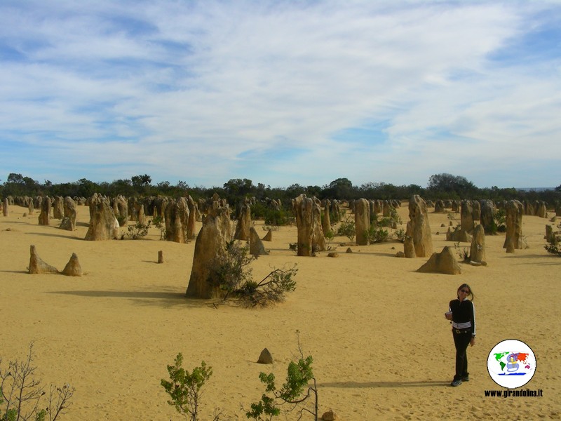 Parchi naturali australiani -  Deserto dei Pinnacoli