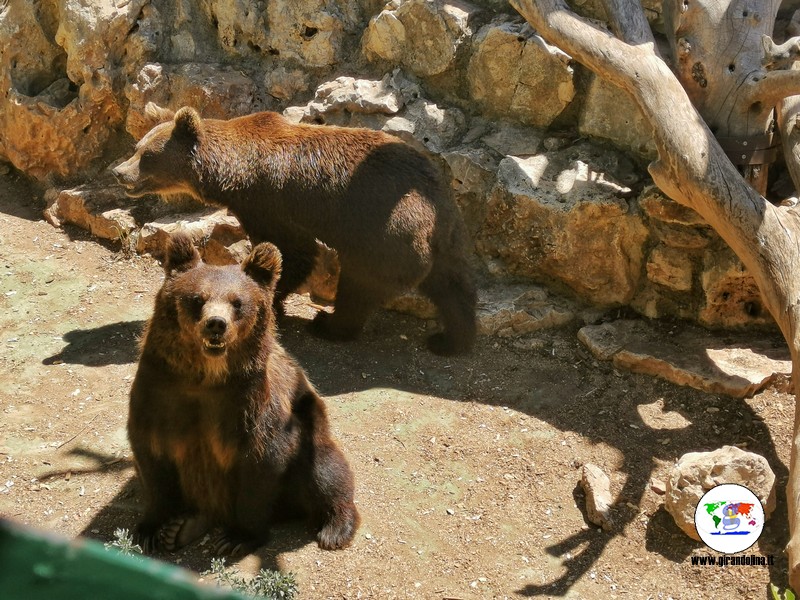 Lo zoosafari di Fasano