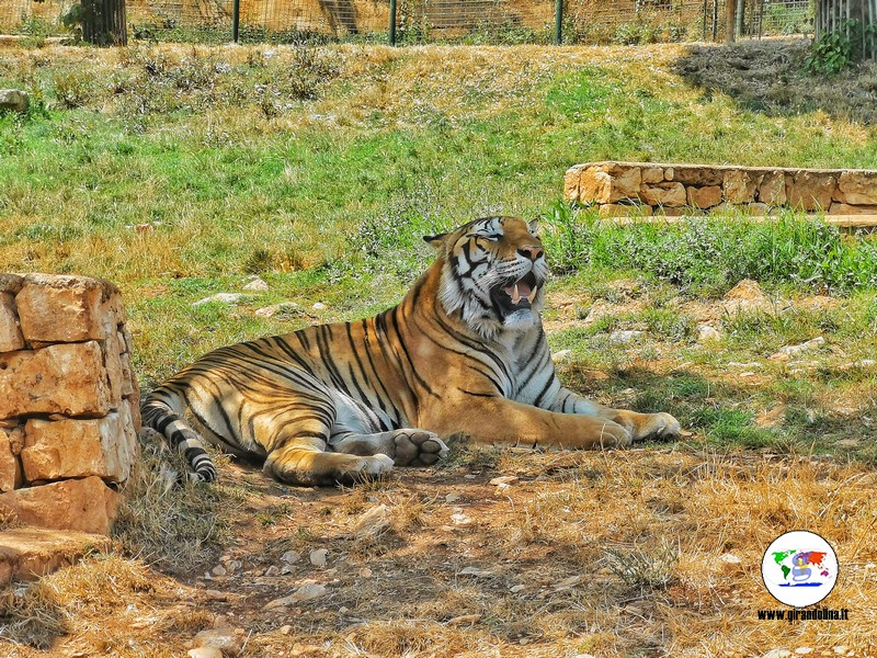 Lo zoosafari di Fasano