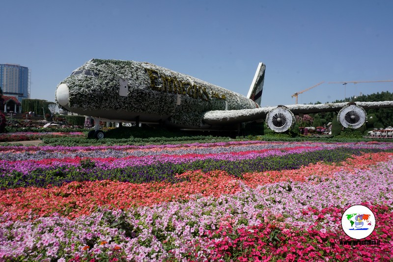 Dubai Miracle Garden