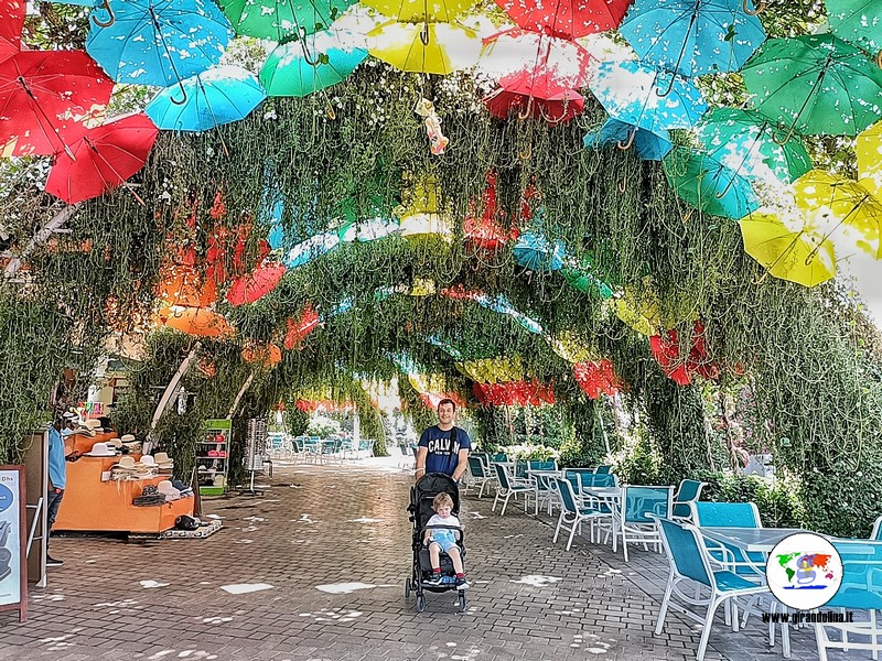 Dubai Miracle Garden