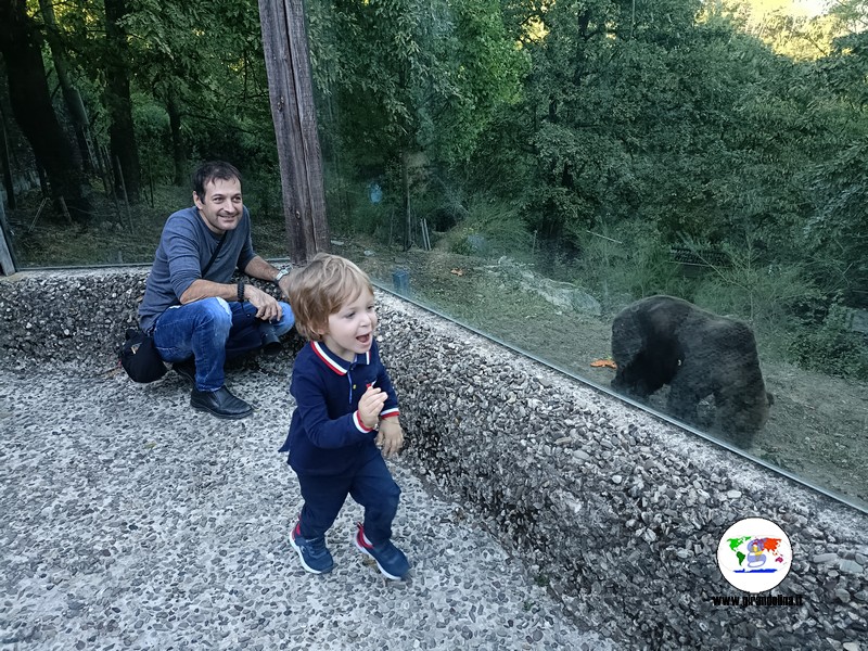Pistoia con i bambini lo zoo