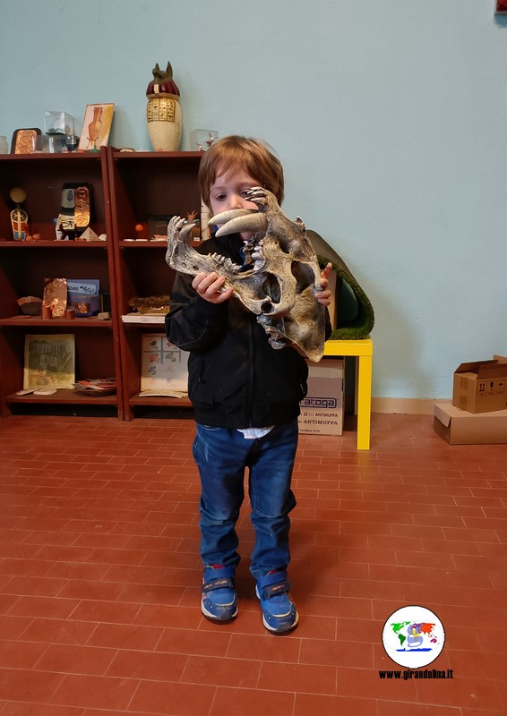 Museo Zoologico  Villa Baciocchi come divertirsi in famiglia in Valdera