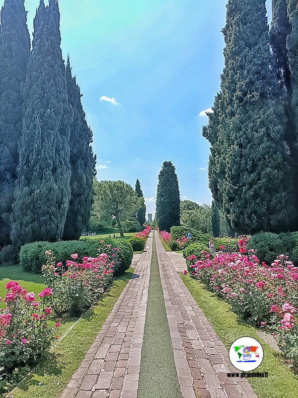 Viale delle Rose