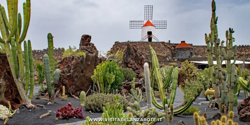 Fioriture primaverili in Europa,  Dublino ( ph Visitare Lanzarote.it)