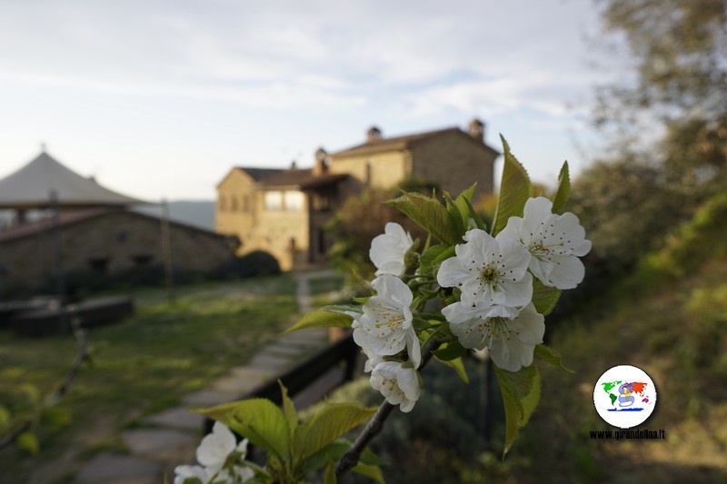 Eco Resort il Cantico della Natura 